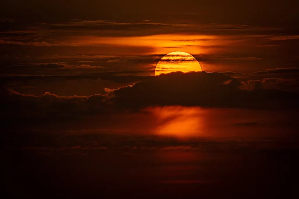 Sony World Photography Awards показала победителей национальных и региональных премий 2026